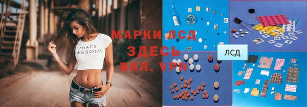 стаф Надым