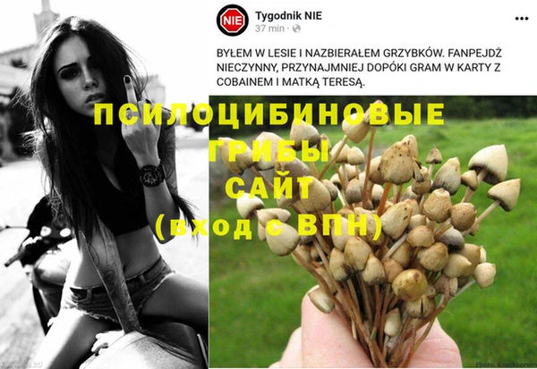 ГАЛЛЮЦИНОГЕННЫЕ ГРИБЫ Наволоки