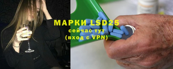 шишки Апатиты