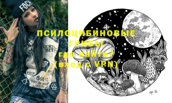 шишки Апатиты