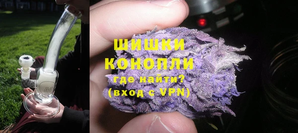 шишки Апатиты