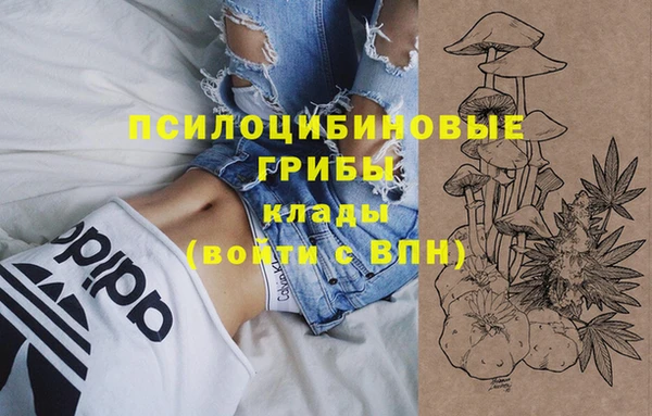 герыч Анива