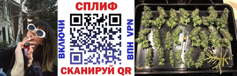 Канабис THC 21% Купить где Лебедянь